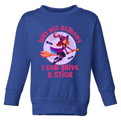 I Can Drive A Stick Cute Witch Riding Magic Broom Halloween Cute Gift Toddler Sweatshirt