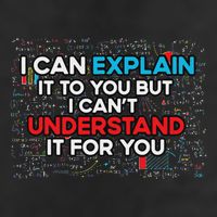 I Can Explain It To You But I Cant Understand It You Fun Trucker Hat