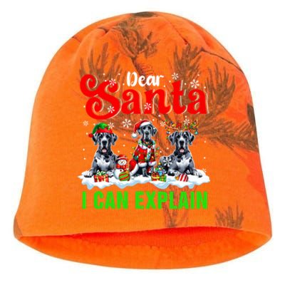 I Can Explain Xmas Three Santa Reindeer Elf Great Danes Gift Kati - Camo Knit Beanie