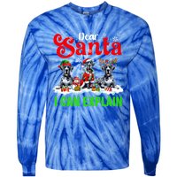 I Can Explain Xmas Three Santa Reindeer Elf Great Danes Gift Tie-Dye Long Sleeve Shirt