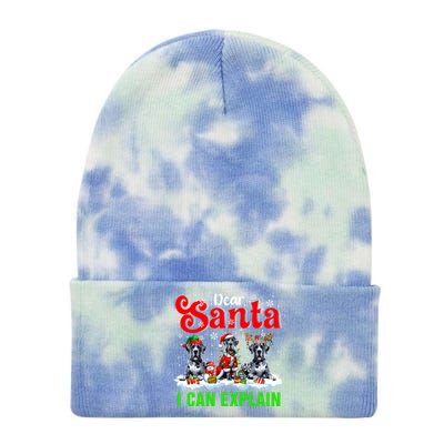 I Can Explain Xmas Three Santa Reindeer Elf Great Danes Gift Tie Dye 12in Knit Beanie