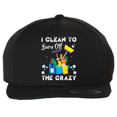 I Clean Funny Housekeeping Housekeeper Cleaner Graphic Wool Snapback Cap