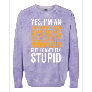 I Can't Fix Stupid Gift Information Systems Security Ager Gift Colorblast Crewneck Sweatshirt