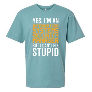 I Can't Fix Stupid Gift Information Systems Security Ager Gift Sueded Cloud Jersey T-Shirt