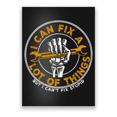 I Can Fix A Lot Of Things But I Can't Fix Stupid Poster