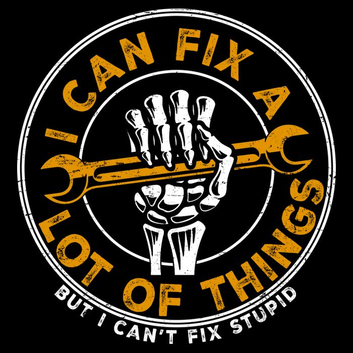 I Can Fix A Lot Of Things But I Can't Fix Stupid Visor