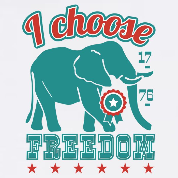I Choose Freedom Republican Political Toddler T-Shirt