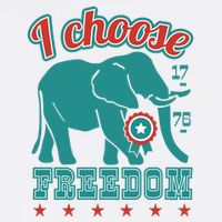 I Choose Freedom Republican Political Visor