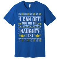 I Can Get You On The Naughty List Swea Premium T-Shirt