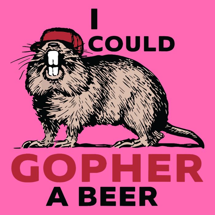 I Could Gopher A Beer Stripe Pom Pom Beanie