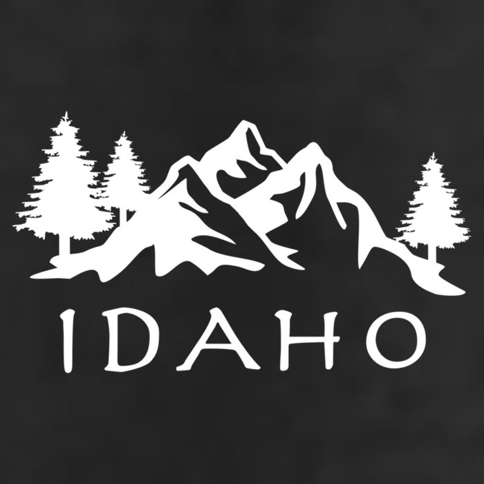 Idaho Cool Gift 11oz C Handle Ceramic Mug