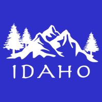 Idaho Cool Gift 16 in Basic Backpack