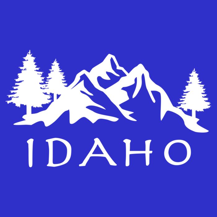 Idaho Cool Gift 16 in Basic Backpack