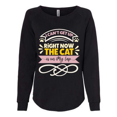 I Can't Get Up Right Now The Cat Is On My Lap, Funny Cat Womens California Wash Sweatshirt