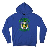 Irish Cat Happy St Patricks Day Gift Hoodie