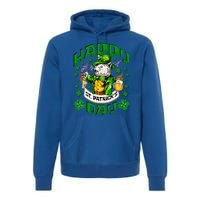 Irish Cat Happy St Patricks Day Gift Premium Hoodie