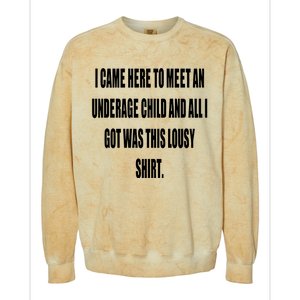 I Came Here To Meet An Underage Child And All I Got Was This Lousy Colorblast Crewneck Sweatshirt