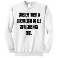 I Came Here To Meet An Underage Child And All I Got Was This Lousy Sweatshirt