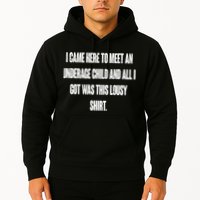 I Came Here To Meet An Underage Child I Got Was This Lousy Hoodie