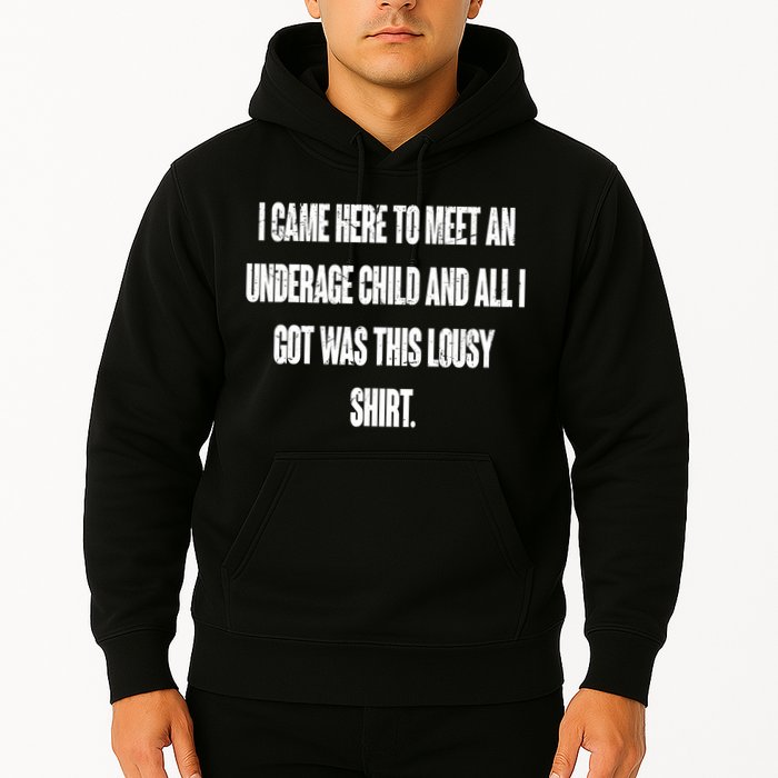 I Came Here To Meet An Underage Child I Got Was This Lousy Hoodie