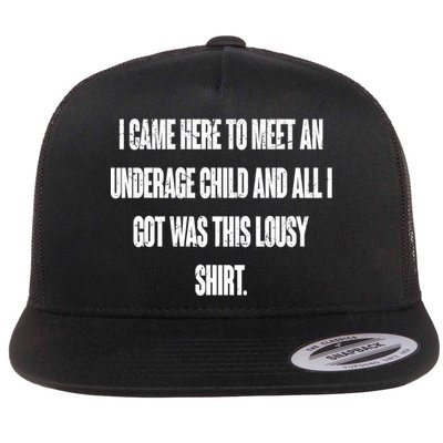 I Came Here To Meet An Underage Child I Got Was This Lousy Flatbill Hat