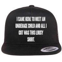 I Came Here To Meet An Underage Child I Got Was This Lousy Flat Bill Trucker Hat