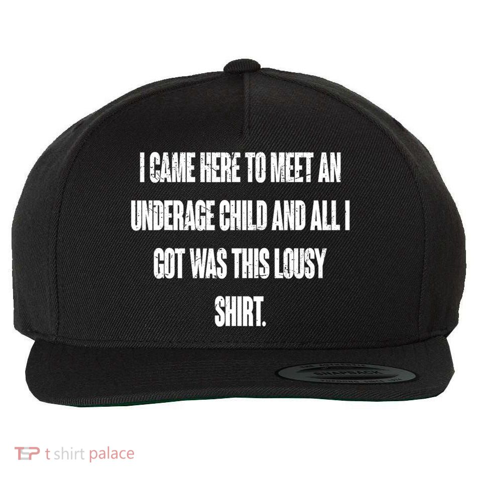 I Came Here To Meet An Underage Child I Got Was This Lousy Wool Snapback Cap