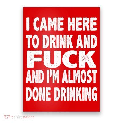 I Came Here To Drink And Fuck And I’M Almost Done Drinking Poster