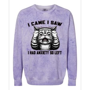 I Came I Saw I Had Anxiety So Left Funny Cat Anxiety Quote Colorblast Crewneck Sweatshirt