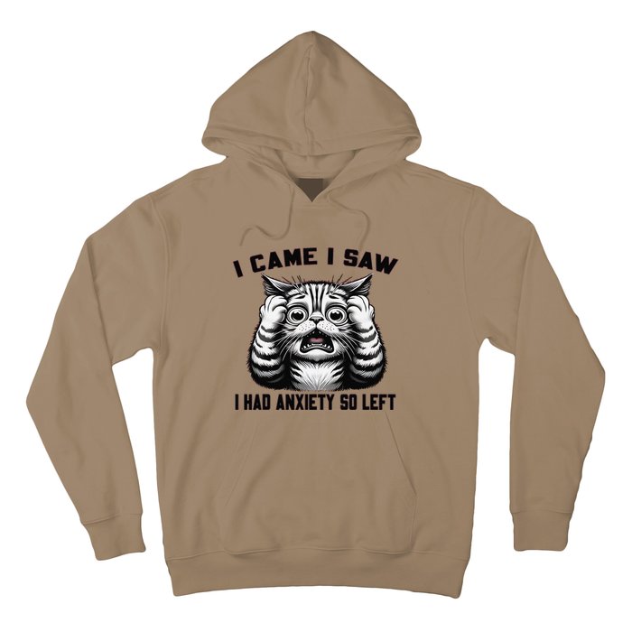 I Came I Saw I Had Anxiety So Left Funny Cat Anxiety Quote Hoodie