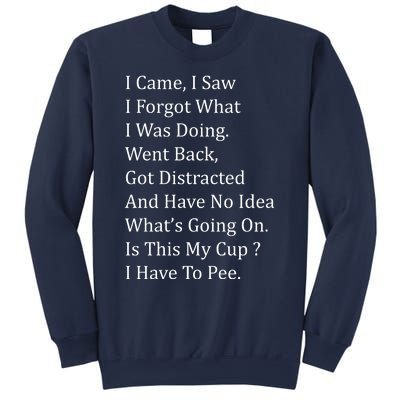 I Came I Saw Sweatshirt