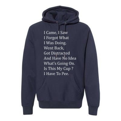 I Came I Saw Premium Hoodie