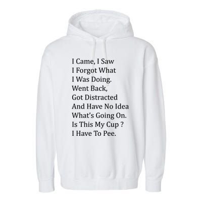 I Came I Saw Garment-Dyed Fleece Hoodie