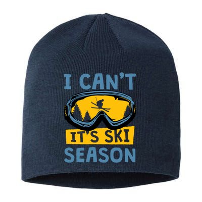 I CanT ItS Ski Season Funny Skiing Lover Sustainable Beanie