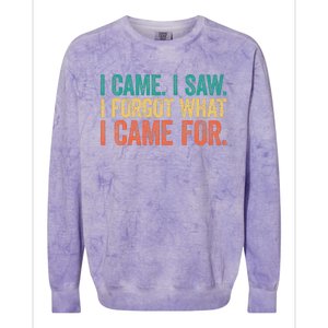 I Came I Saw I Forgot What I Came Colorblast Crewneck Sweatshirt