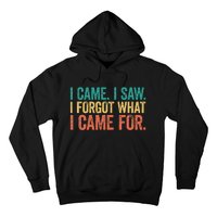 I Came I Saw I Forgot What I Came Hoodie