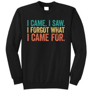 I Came I Saw I Forgot What I Came Sweatshirt