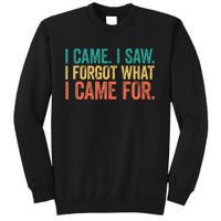 I Came I Saw I Forgot What I Came Sweatshirt