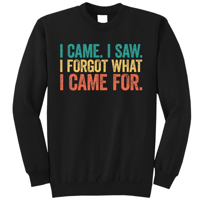 I Came I Saw I Forgot What I Came Sweatshirt