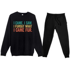 I Came I Saw I Forgot What I Came Premium Crewneck Sweatsuit Set