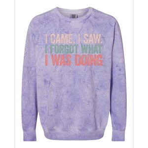 I Came I Saw I Forgot What I Was Doing Colorblast Crewneck Sweatshirt