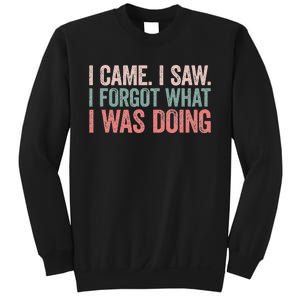 I Came I Saw I Forgot What I Was Doing Sweatshirt