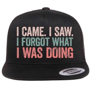 I Came I Saw I Forgot What I Was Doing Flat Bill Trucker Hat