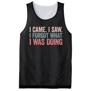 I Came I Saw I Forgot What I Was Doing Mesh Reversible Basketball Jersey Tank