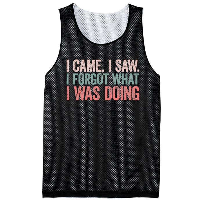 I Came I Saw I Forgot What I Was Doing Mesh Reversible Basketball Jersey Tank