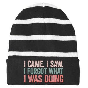 I Came I Saw I Forgot What I Was Doing Striped Beanie with Solid Band