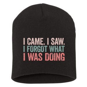 I Came I Saw I Forgot What I Was Doing Short Acrylic Beanie