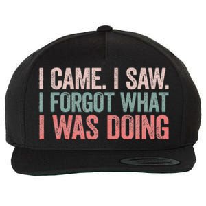 I Came I Saw I Forgot What I Was Doing Wool Snapback Cap