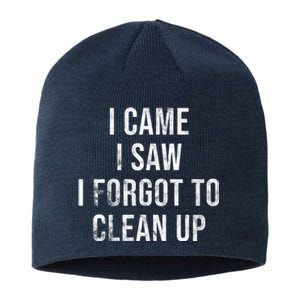 I Came I Saw I Forgot To Clean Up Funny Sustainable Beanie