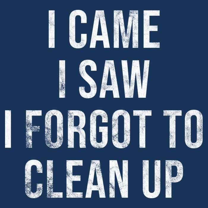 I Came I Saw I Forgot To Clean Up Funny Women's V-Neck T-Shirt